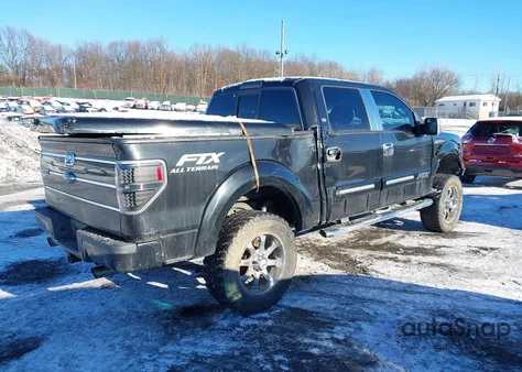 2010 Ford F-150 Fx4/Harley-Davidson/King Ranch/Lariat/Platinum/Xl/Xlt z USA, uszkodzony, nr VIN 1FTFW1EV7AFD67544